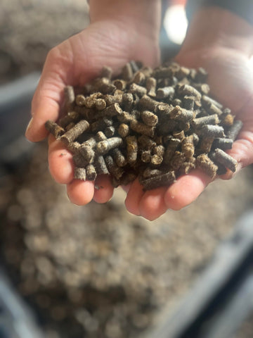 Close-up of Wooly Garden wool pellets indicating natural, biodegradable nutrients for soil health