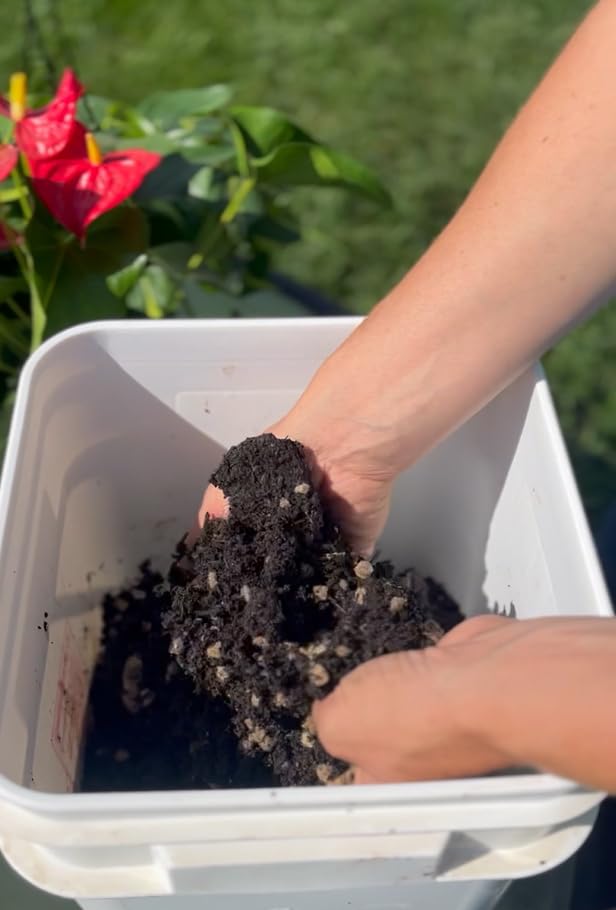 Wooly Garden pellets in garden bed improving moisture and texture