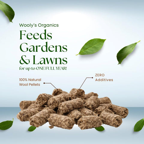 Wooly's Organics Wool Pellets being applied to a container garden for healthy growth