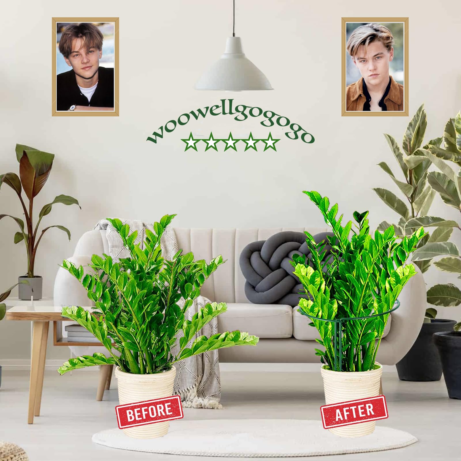WooWellGoGoGo garden stake setup with 10in by 16in frame stabilizing tall flowers.