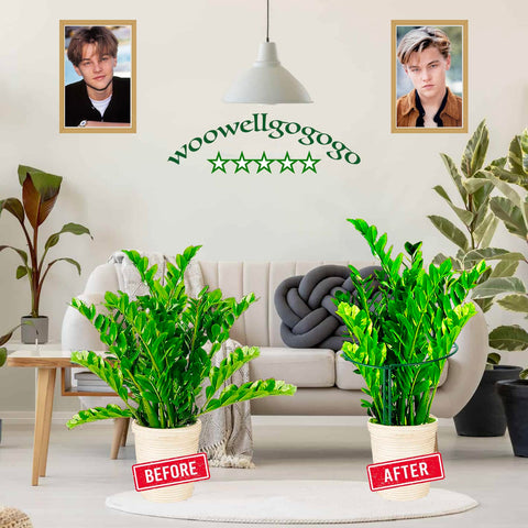 WooWellGoGoGo garden stake setup with 10in by 16in frame stabilizing tall flowers.
