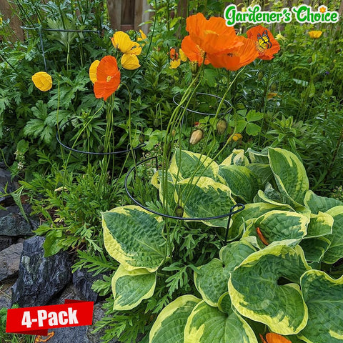 WooWellGoGoGo half-moon plant support ring stabilizes peonies and other indoor plants