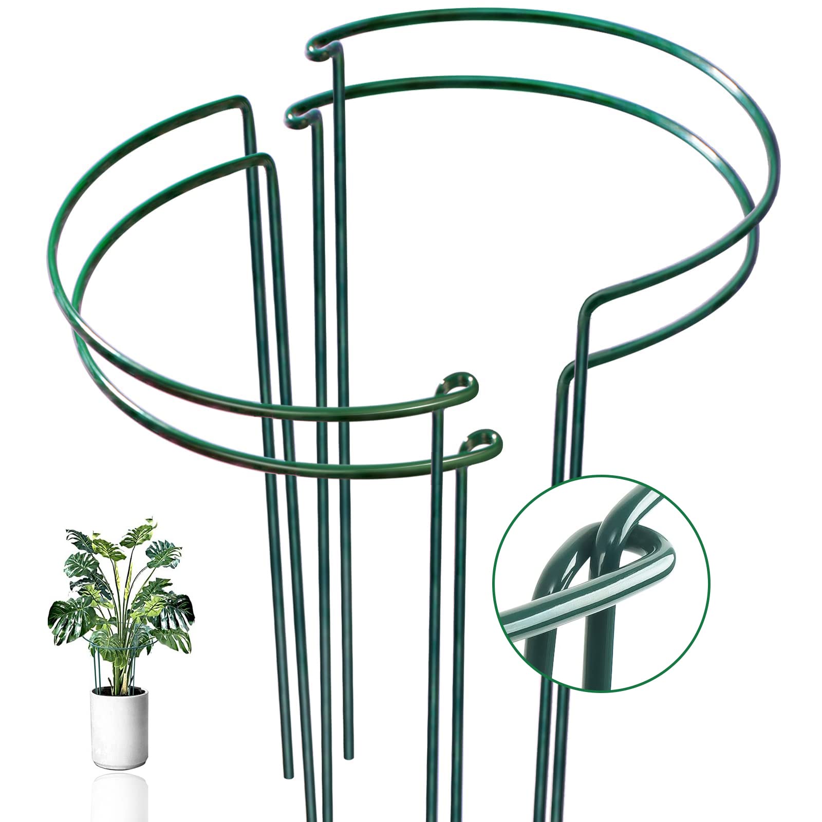 WooWellGoGoGo half-round plant support steadies indoor plants with discreet, stylish stability.