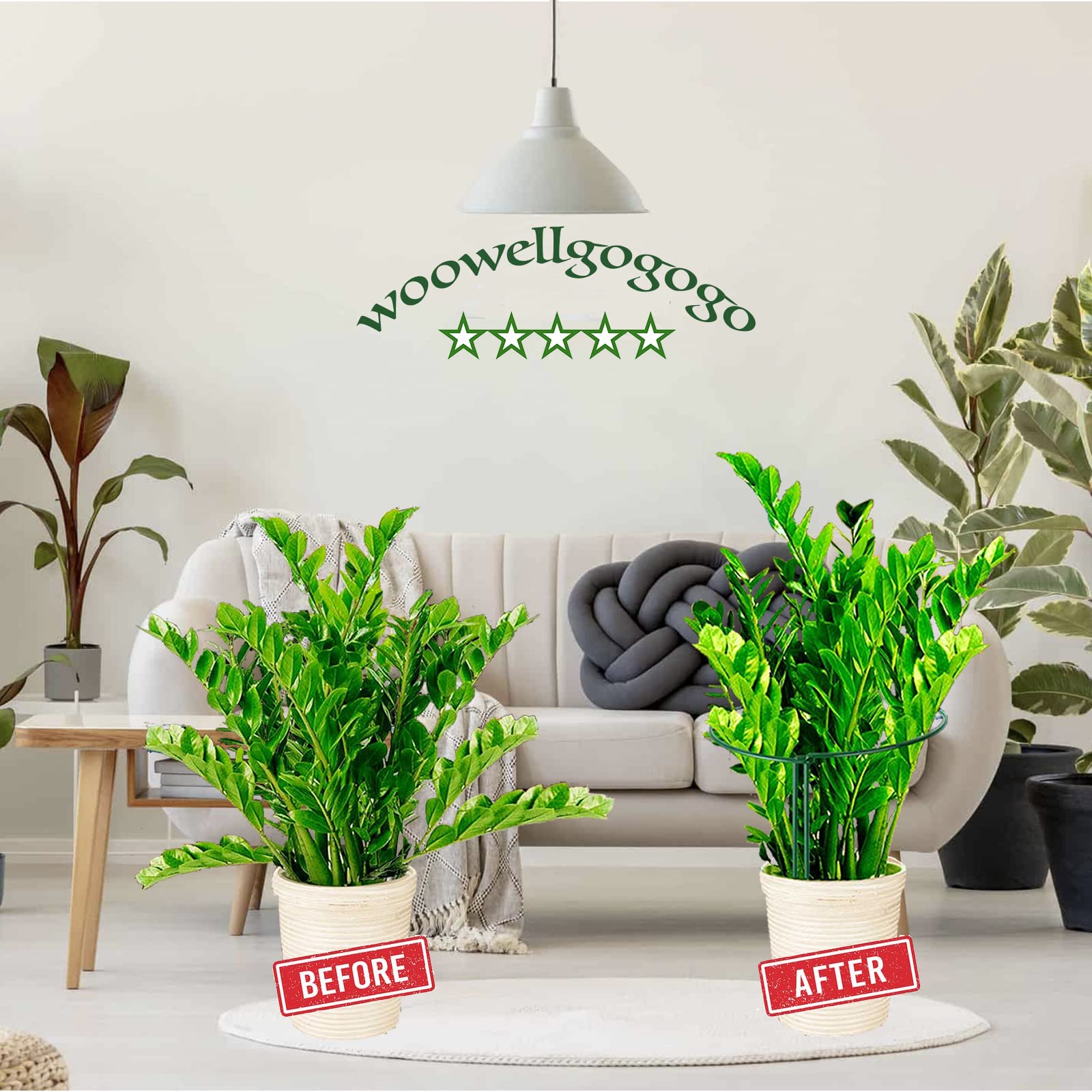 WooWellGoGoGo hydrangea support cage provides sturdy bloom support