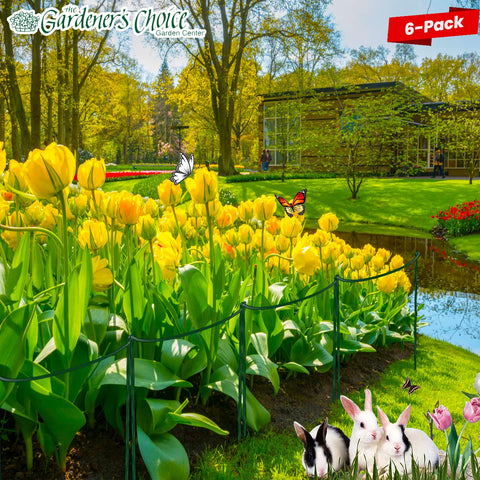 WooWellGoGoGo interlinked plant cages providing sturdy support for blooming varieties.