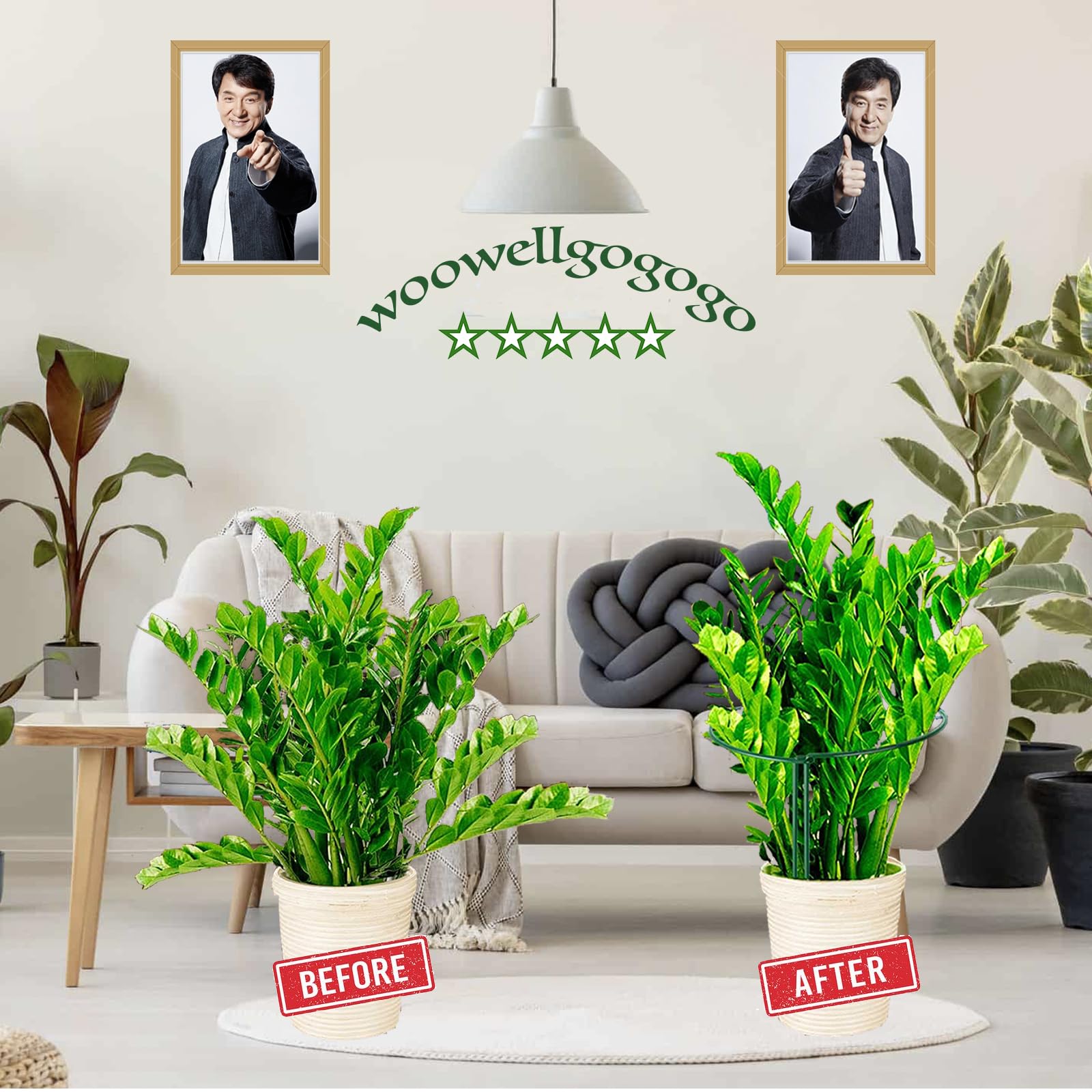 WooWellGoGoGo plant-stake-outdoor-flexible-frame helps outdoor plants stay upright during windy days.