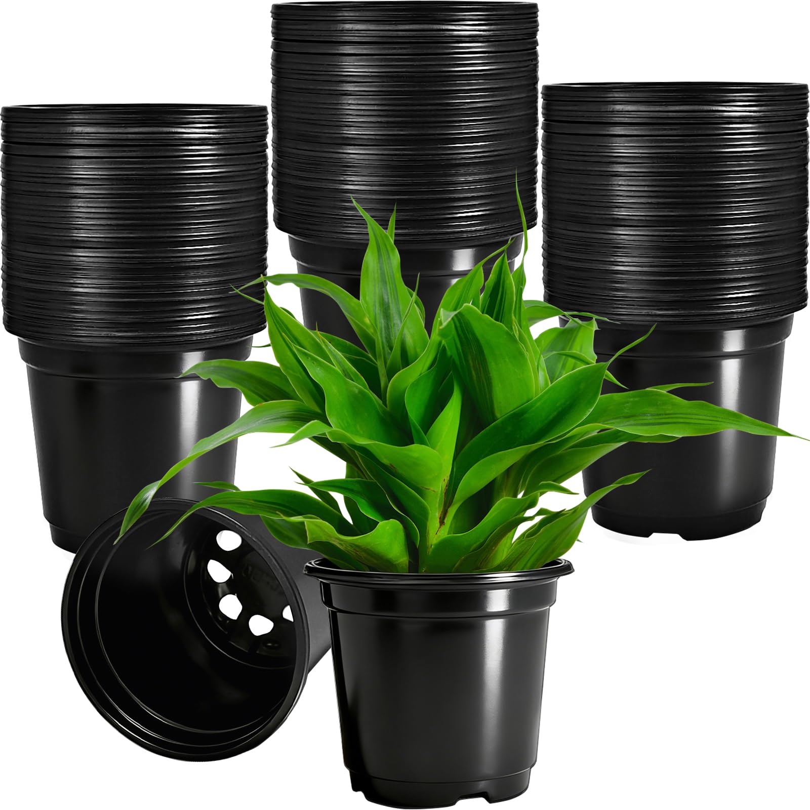 Woozettn 120-pack nursery pots shown in packaging for easy sharing among gardeners.