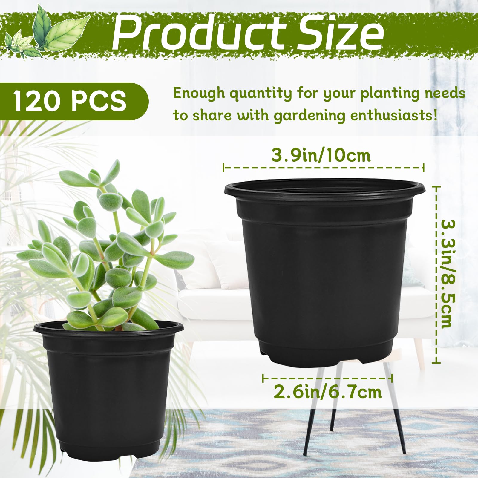 4-inch thickened plastic pot offering sturdy support for seedlings.