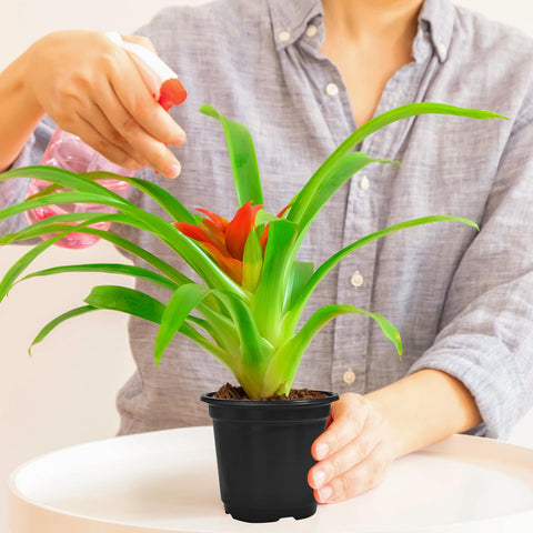 Classic black Woozettn nursery pot complements any nursery layout.