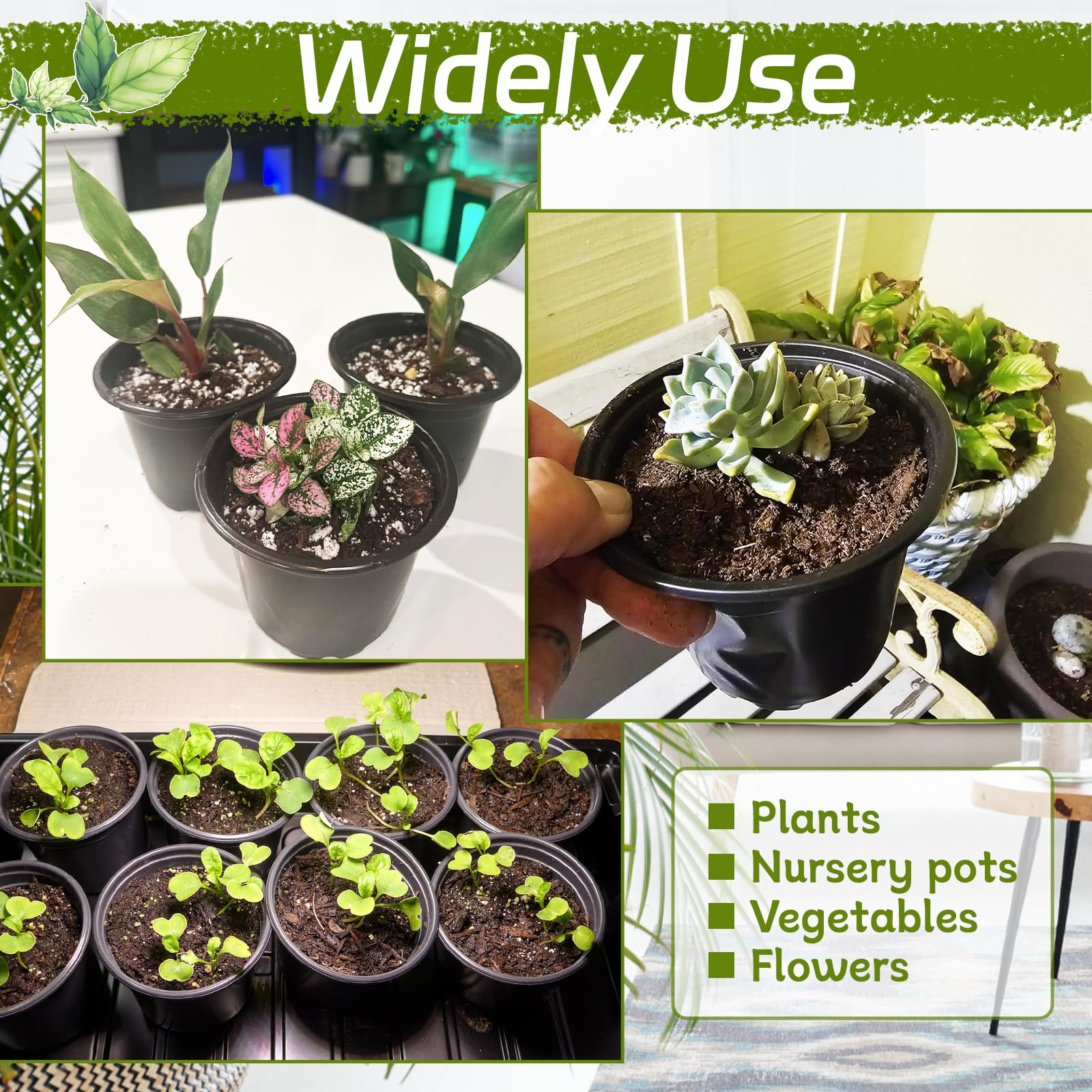 Seedling transplant-ready design supports smooth root development.
