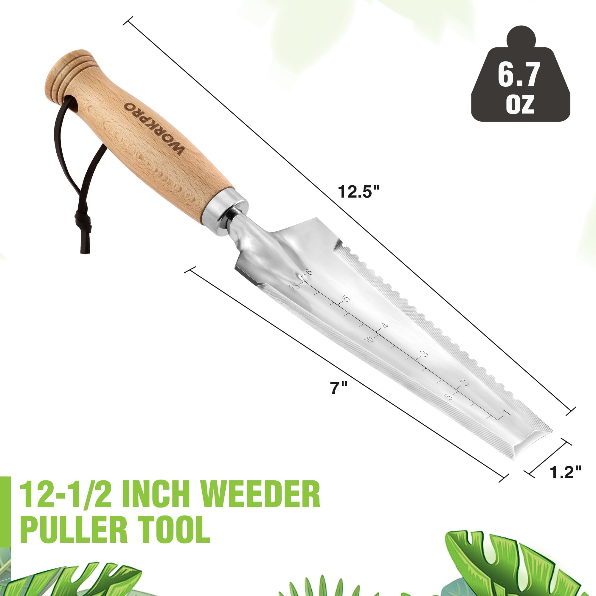 Close up of narrow stainless steel blade for deep digging and weed removal.