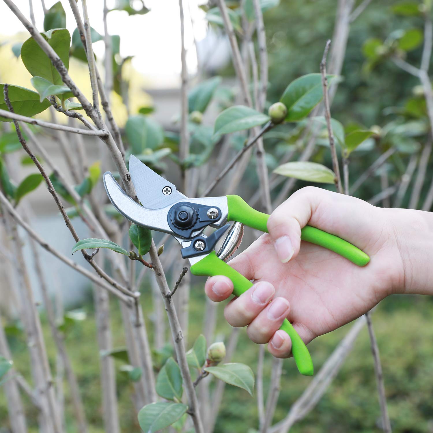 WORKPRO W151010 garden pruning set ready for flowers and branches.