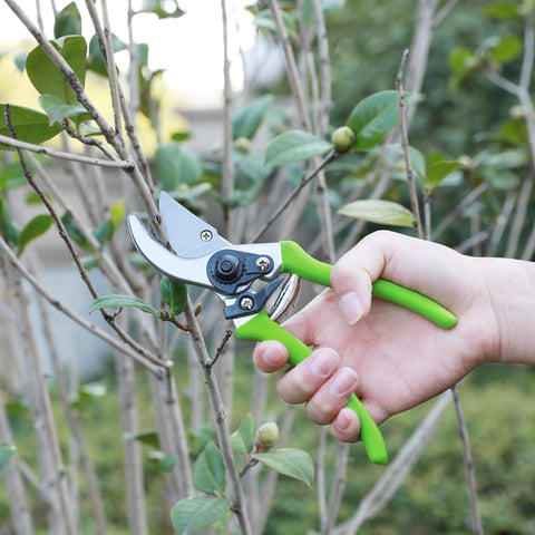 WORKPRO W151010 garden pruning set ready for flowers and branches.