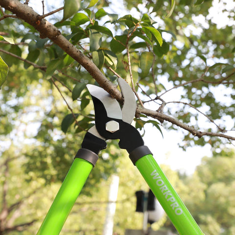 WORKPRO W151010 storage-friendly set keeps pruners organized and accessible.