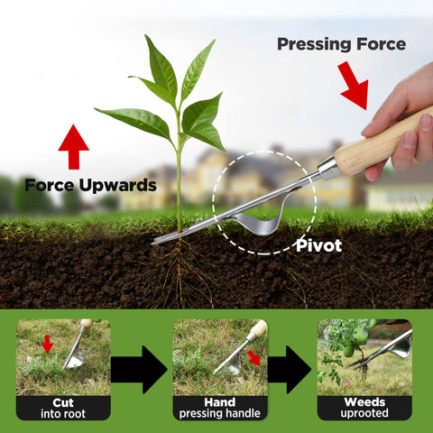 WORKPRO weed puller with v-shaped fork digs roots efficiently.