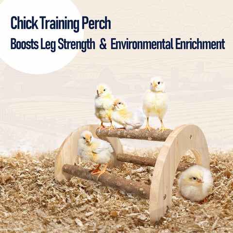 WORLEYX roosting bar with spaced rungs supports tiny chicks' movements.