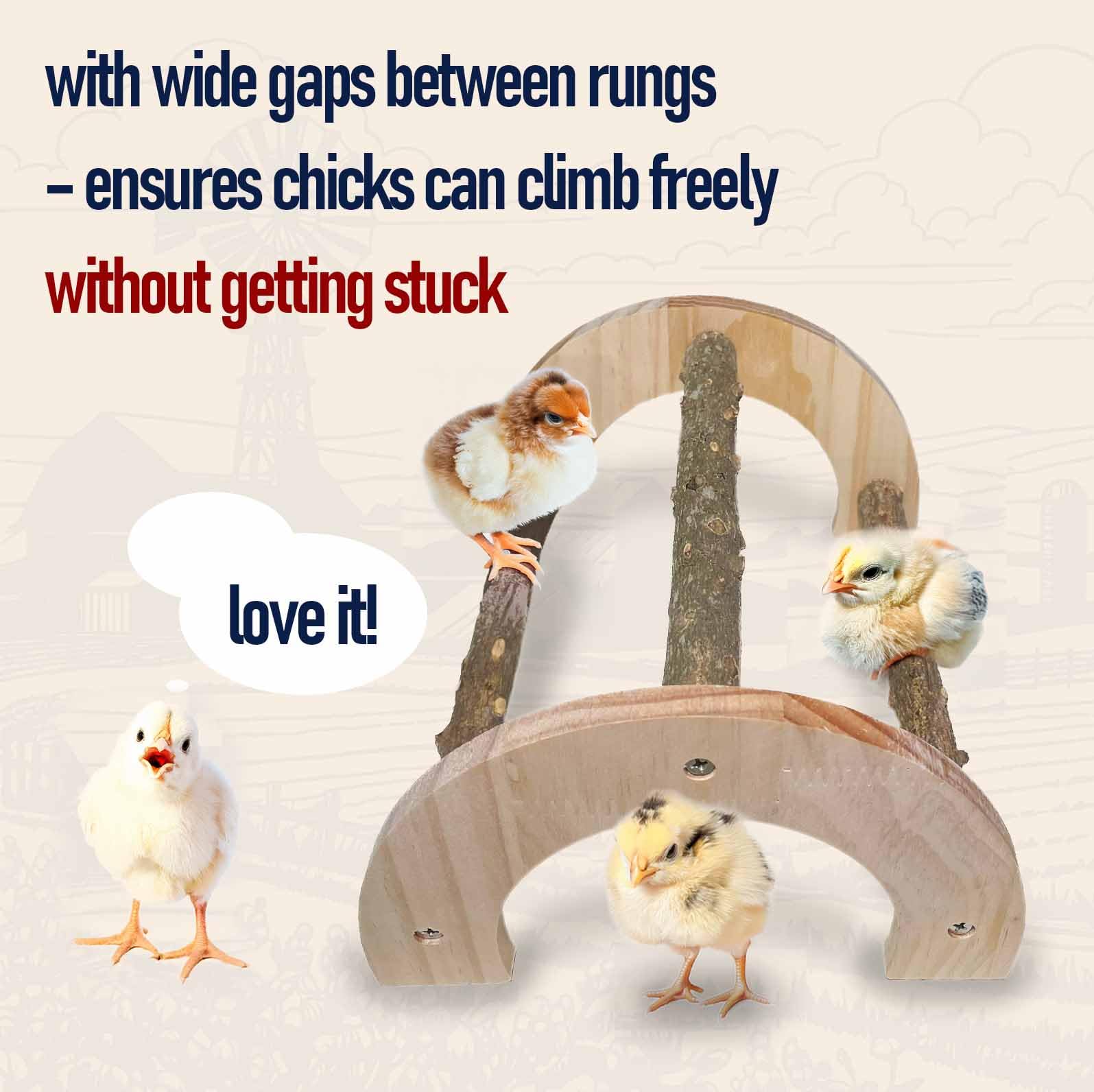 WORLEYX Durable hardwood Chick Perch designed for daily use in coops.