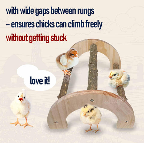 WORLEYX Durable hardwood Chick Perch designed for daily use in coops.