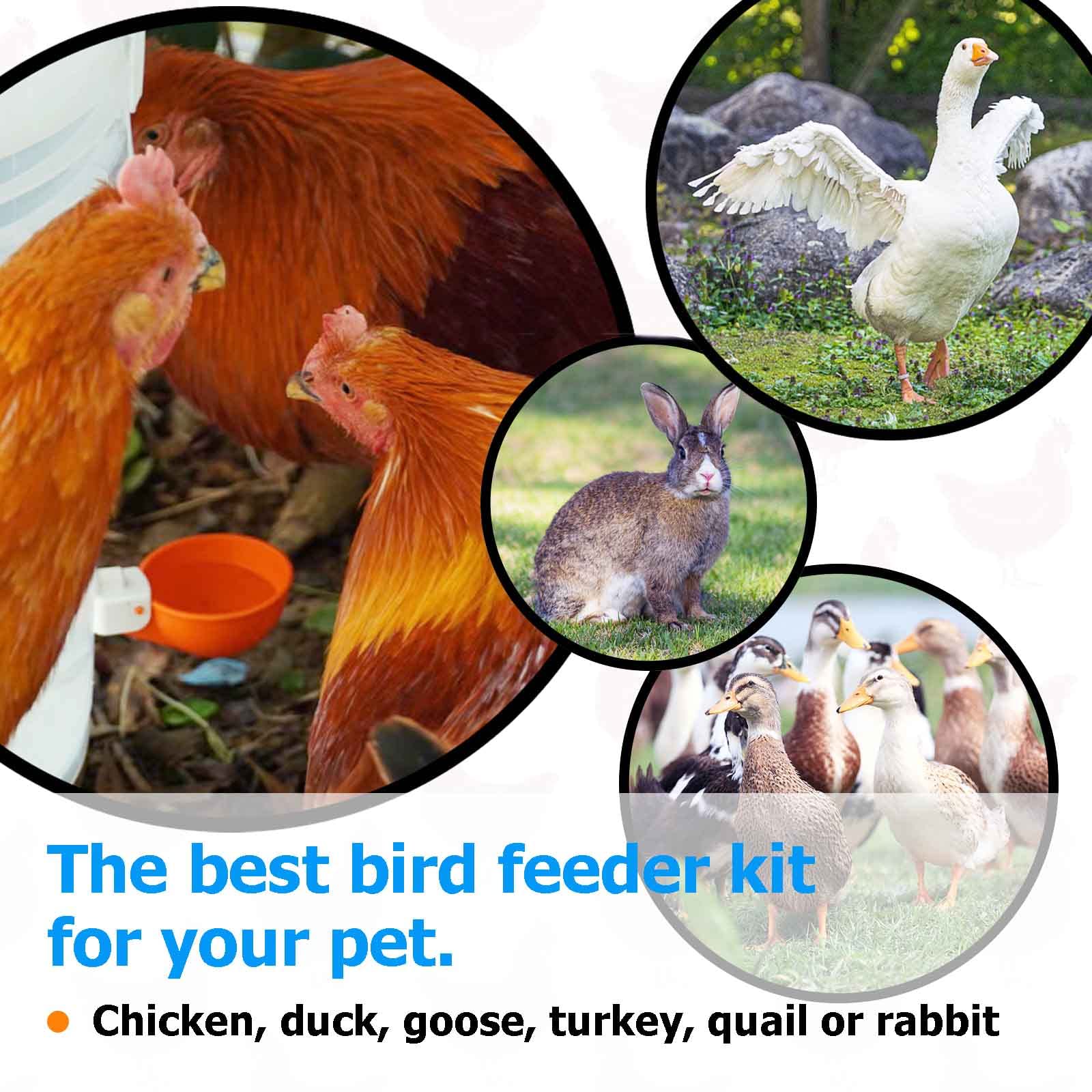 WORLEYX suitable for chickens ducks geese turkeys and rabbits.
