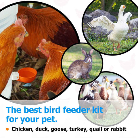 WORLEYX suitable for chickens ducks geese turkeys and rabbits.