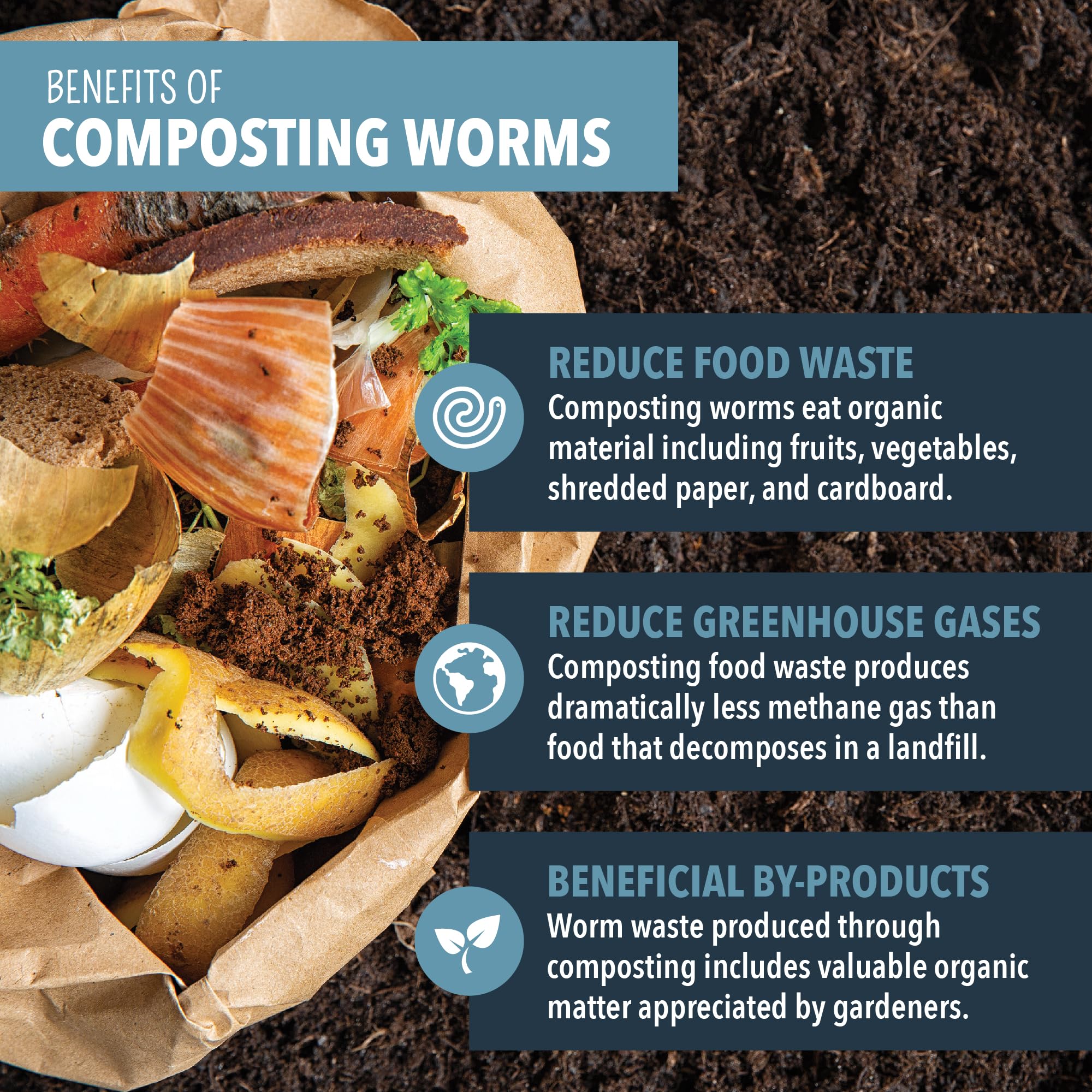 Worm Nerd compost bin setup with worms and bedding for vermicomposting