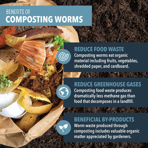 Worm Nerd compost bin setup with worms and bedding for vermicomposting