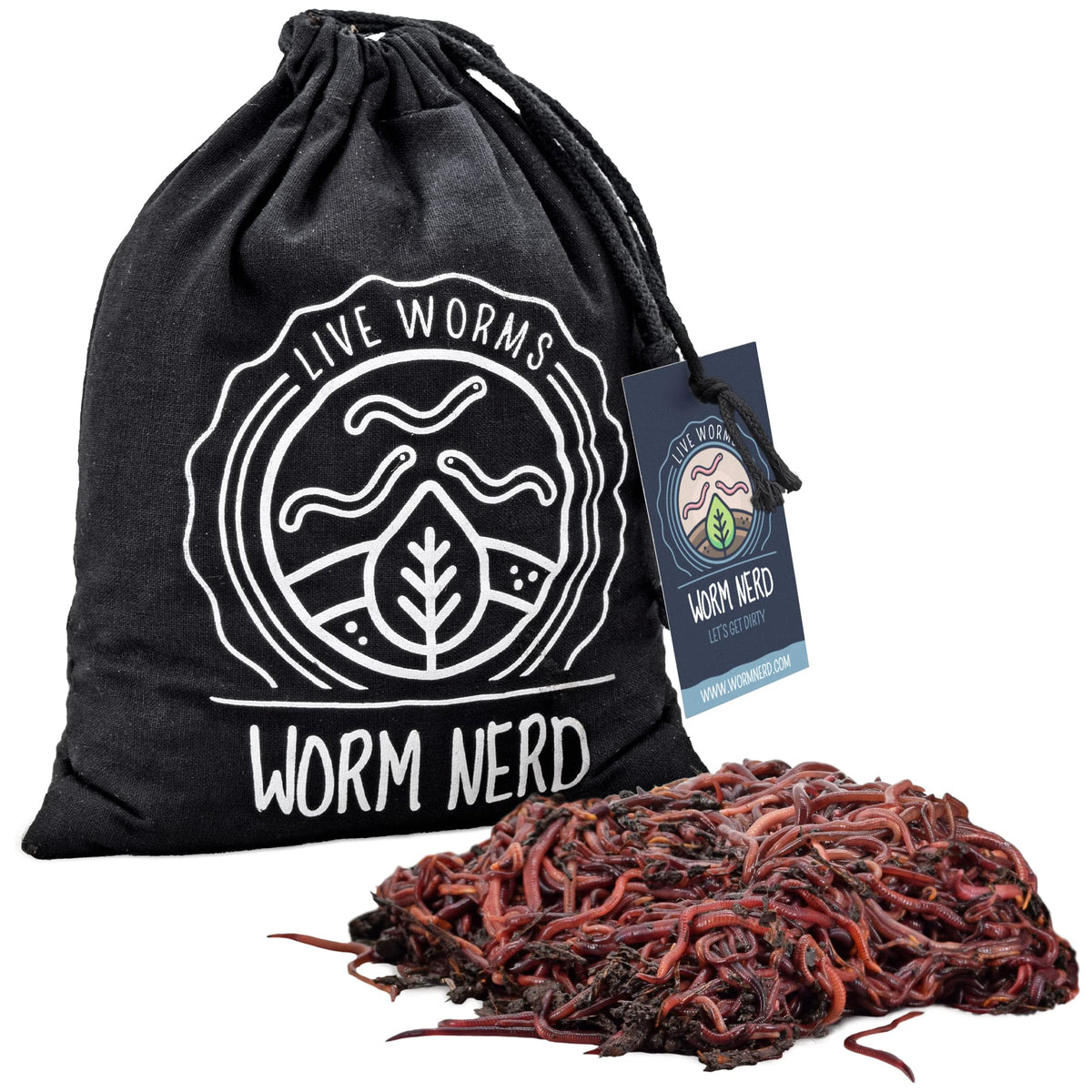 Worm Nerd live red wigglers ready for home composting to recycle waste