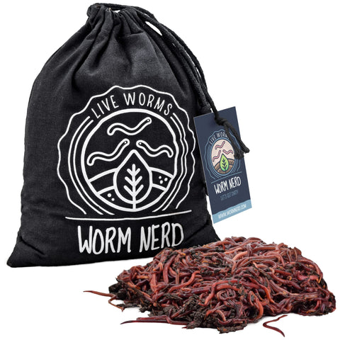Worm Nerd live red wigglers ready for home composting to recycle waste