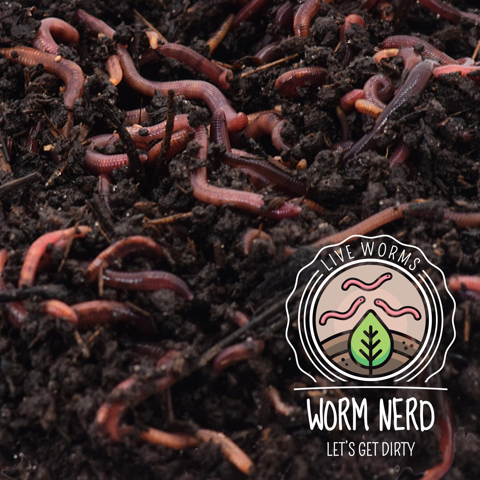 Worm Nerd reduces kitchen waste by turning it into nutrient soil