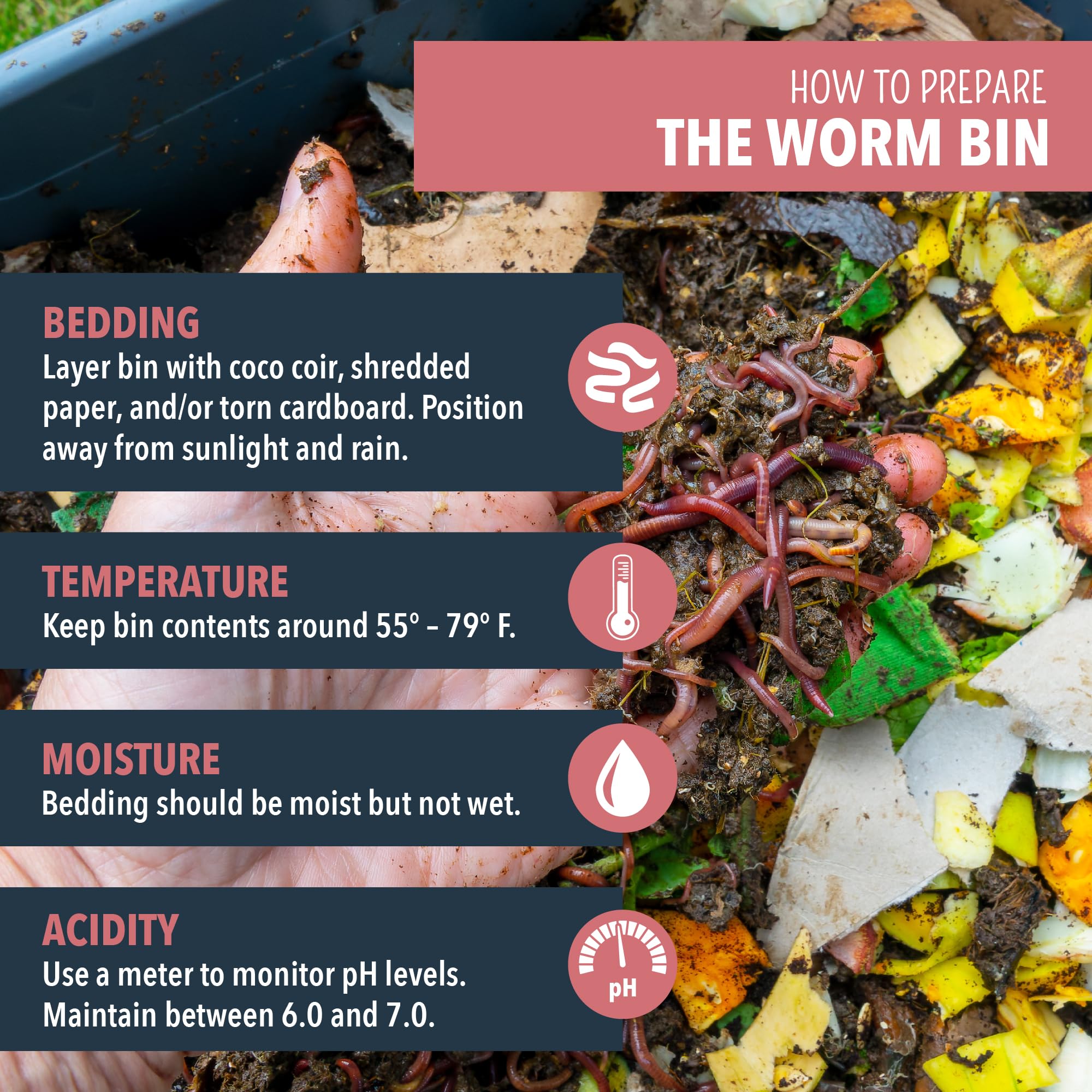 Worm Nerd worm castings enriching soil with nutrients for plants