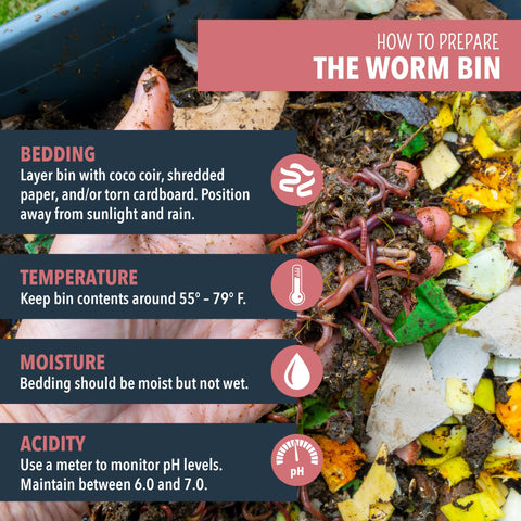 Worm Nerd worm castings enriching soil with nutrients for plants