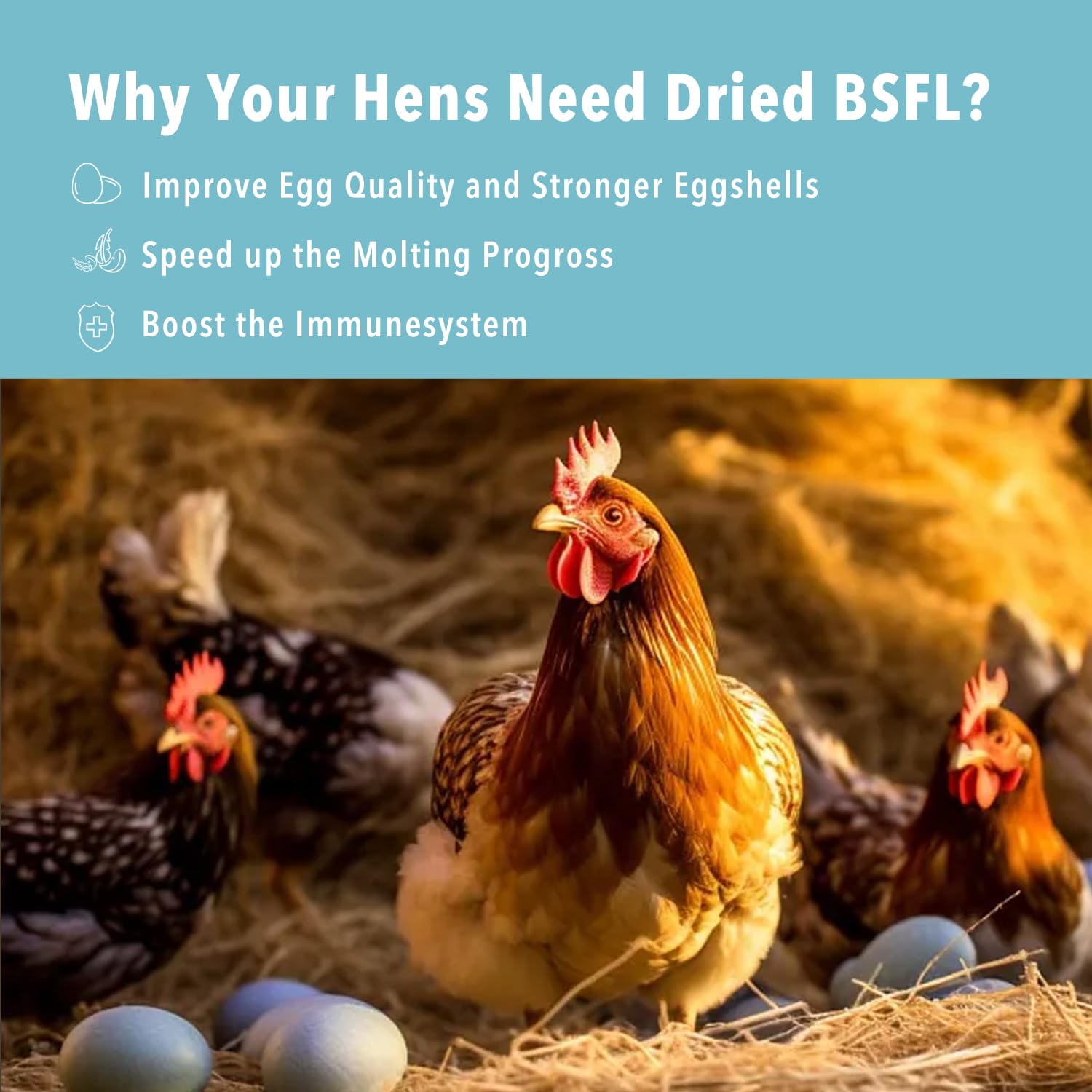 WormsFarm chicken feed application demonstrates simple addition to rations.