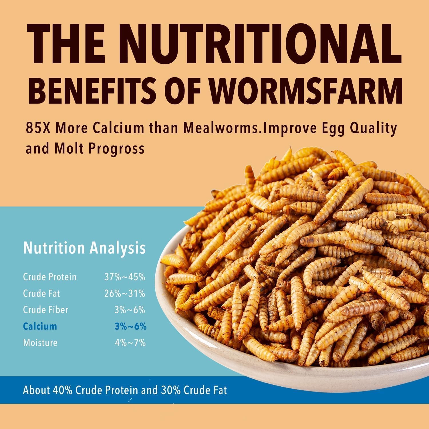 WormsFarm dried BSF larvae close-up shows crispy texture ideal as a treat.