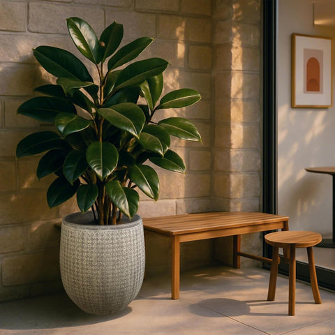 Worth 17.5-inch height planter provides space for medium plants and vertical interest