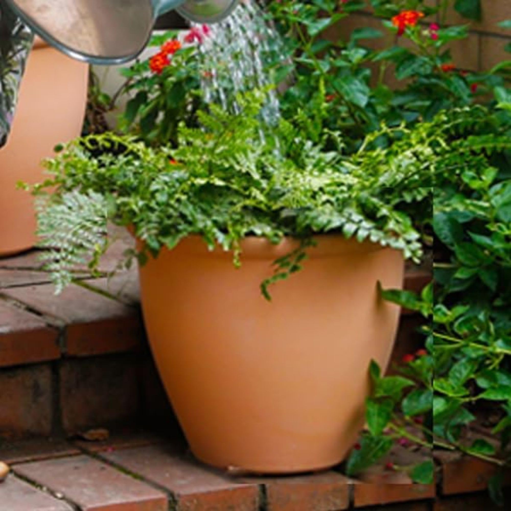 Worth indoor setup shows how planters fit patios and interiors
