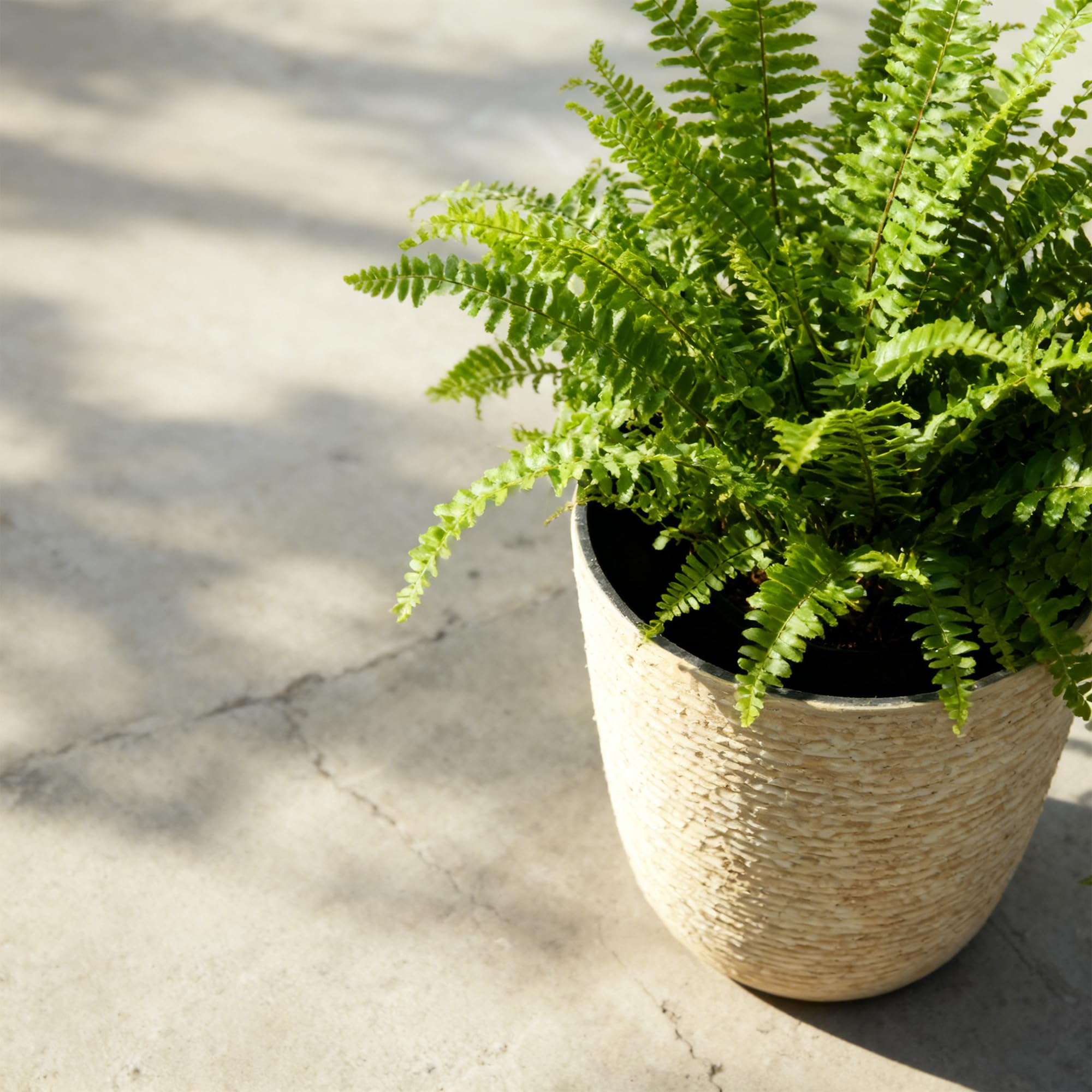 Worth 9-Gallon Tall Planter weather-ready design withstands rain and sun.