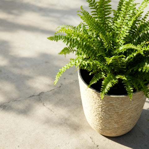 Worth 9-Gallon Tall Planter weather-ready design withstands rain and sun.