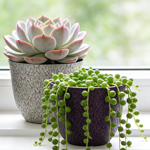 Worth Garden retro floral-pattern planter highlighting color for lively balcony displays.