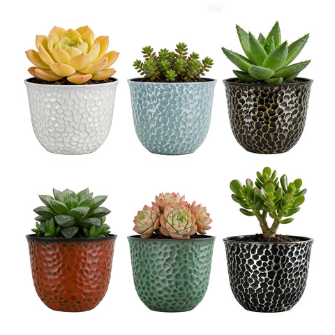 Worth Garden 8-inch planter set of six in bold colors for versatile indoor décor.