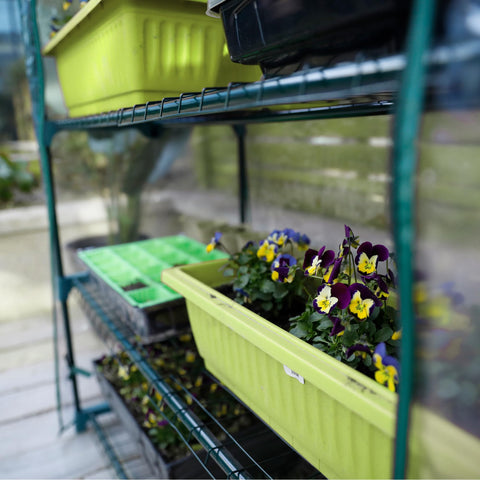 Worth Garden dimensions-40x19x75 fits a wide growing setup.
