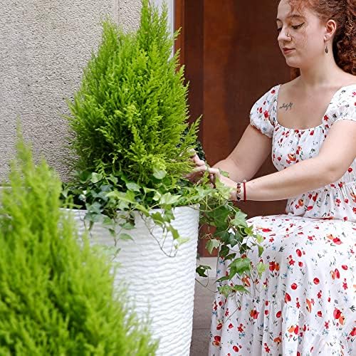 Worth Garden planter with drainage hole supports healthy watering.