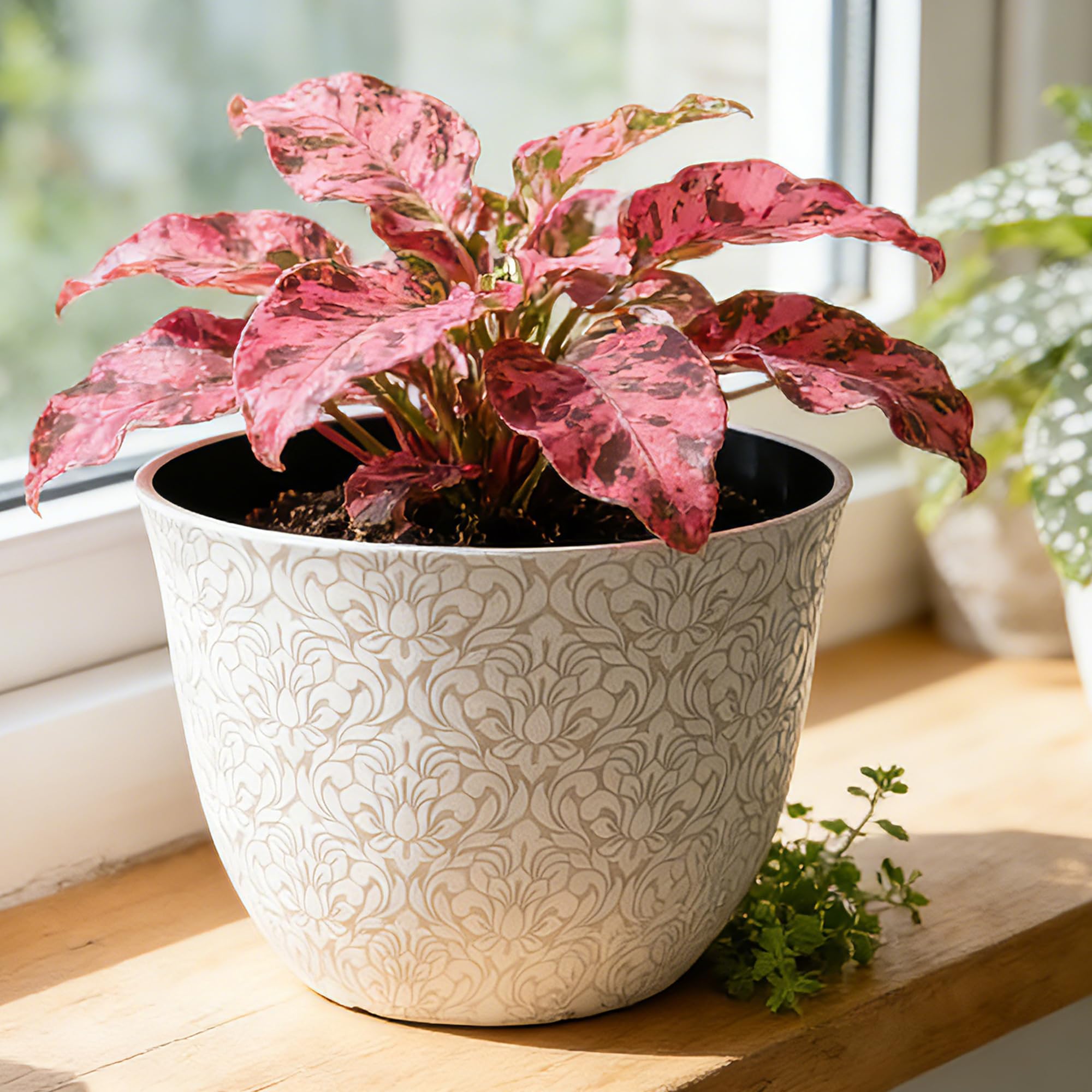 Worth Garden multicolor planters suit flowers, herbs, and succulents beautifully.