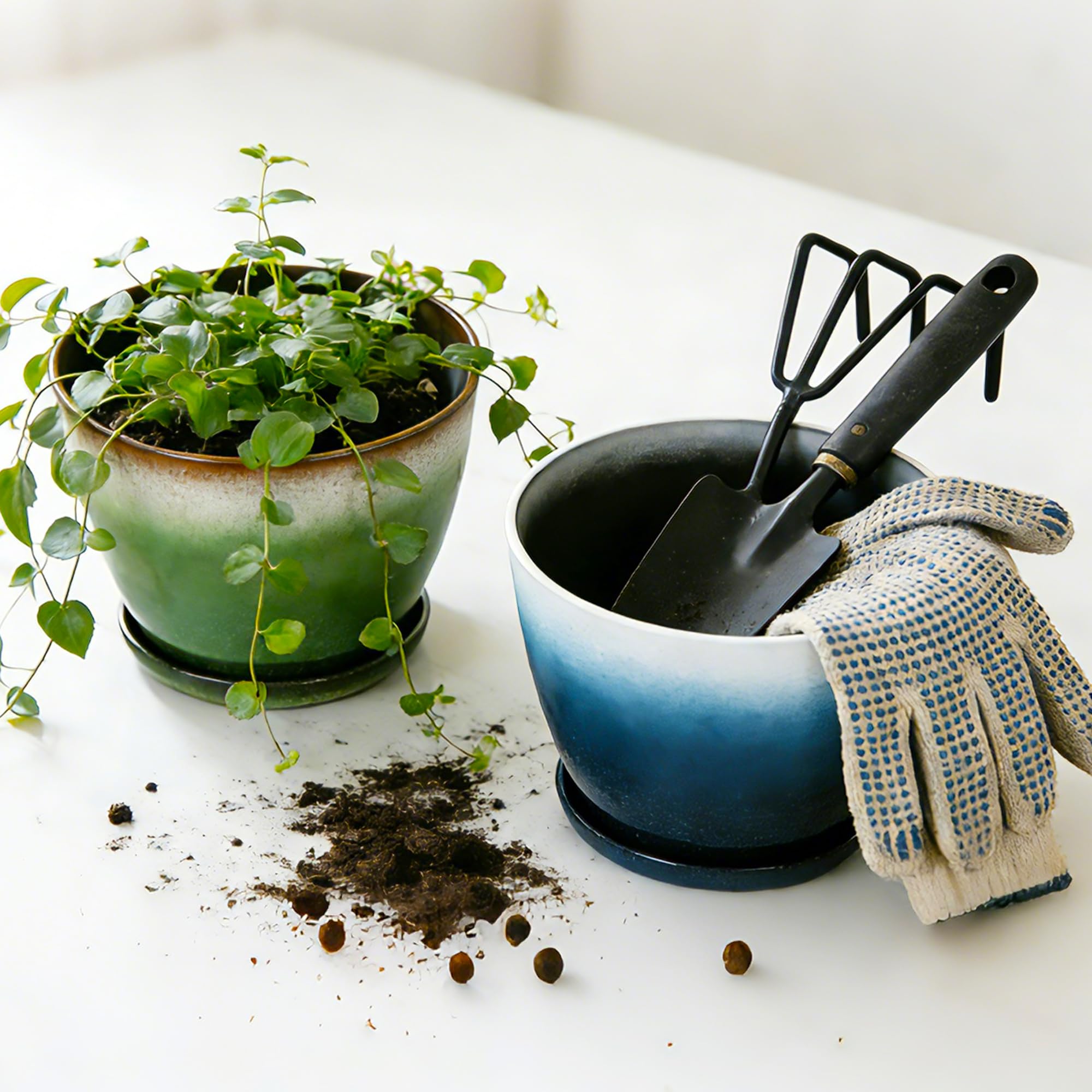 Worth Garden gloss gradient plant pot enhances indoor decor.