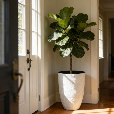 Worth Garden planter with imitation stone finish enhances outdoor decor.