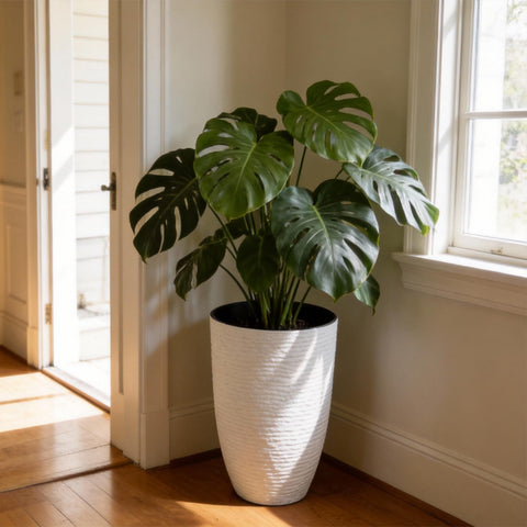 Worth Garden planter suitable for both indoor and outdoor spaces.
