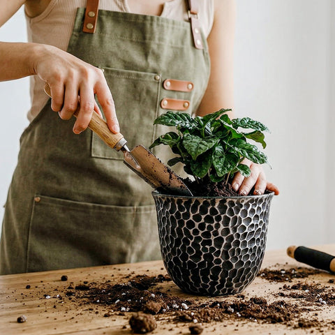 Worth Garden six-pack plant pot set shown with small plants for compact spaces.