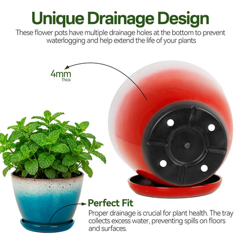 Worth Garden lightweight yet sturdy pot ideal for herbs and succulents.