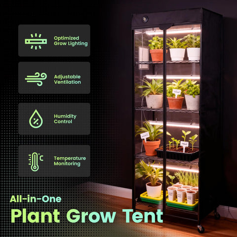Worth Mini Greenhouse digital thermo-hygrometer display for environment monitoring