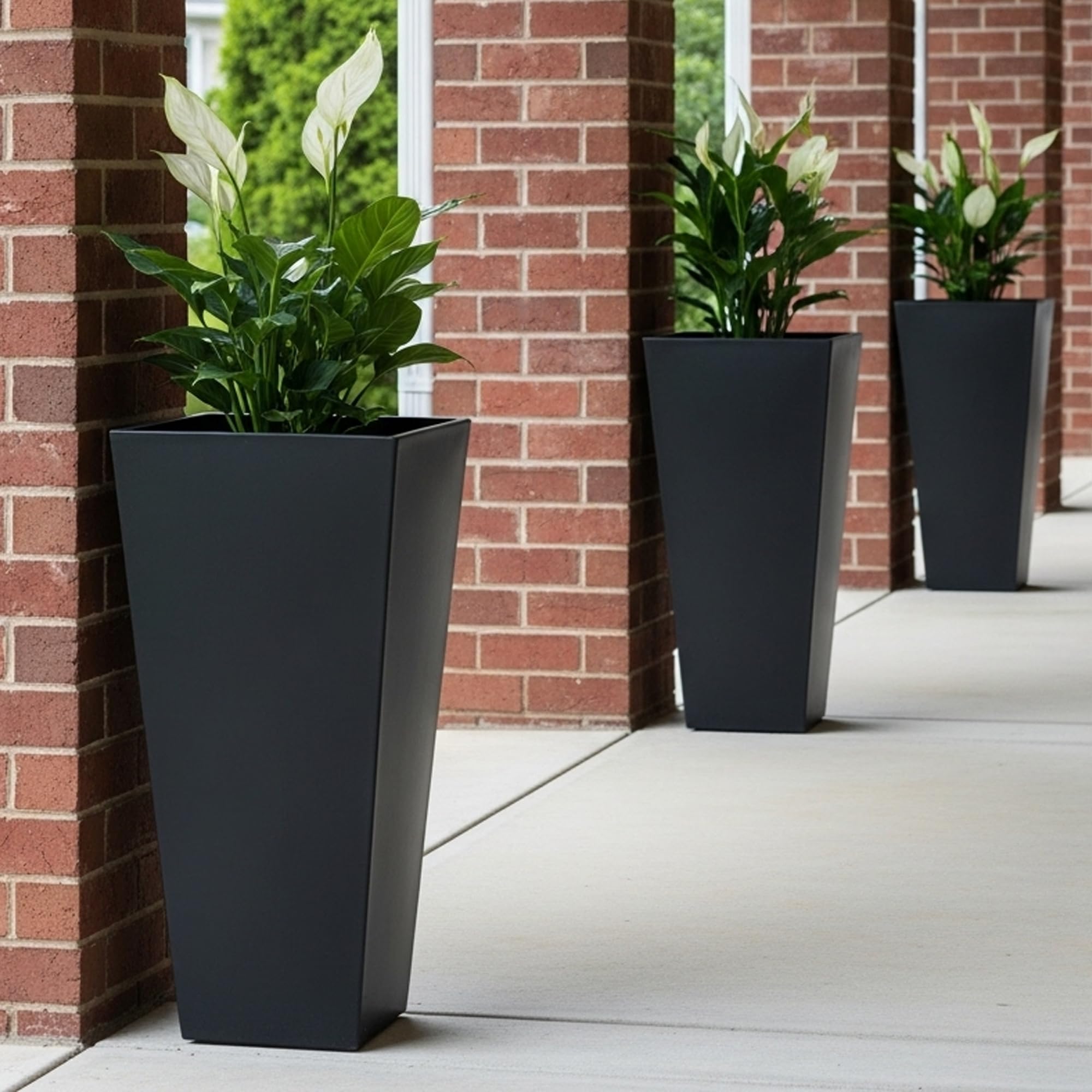Worth planter with dual-purpose tray used as water saucer or liner.
