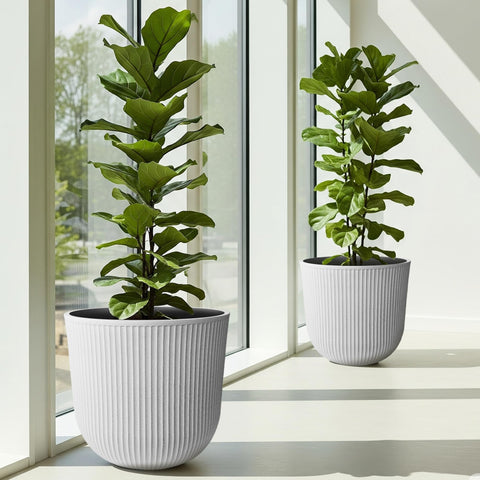 Worth planter set in white highlights durable plastic and outdoor versatility.